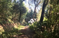 Ostia, la Proloco guarda all'ambiente