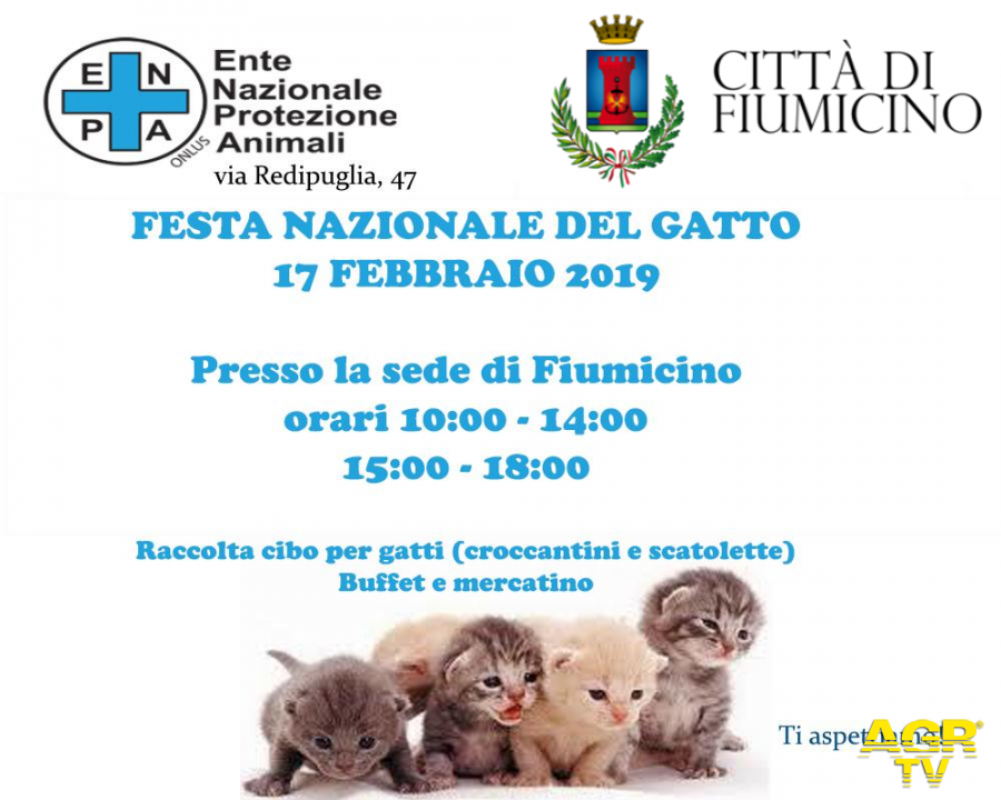 La Festa del Gatto