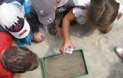 Educazione ambientale, il WWF presenta tre progetti