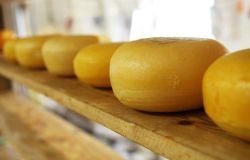 Pecorino sardo, accordo possibile