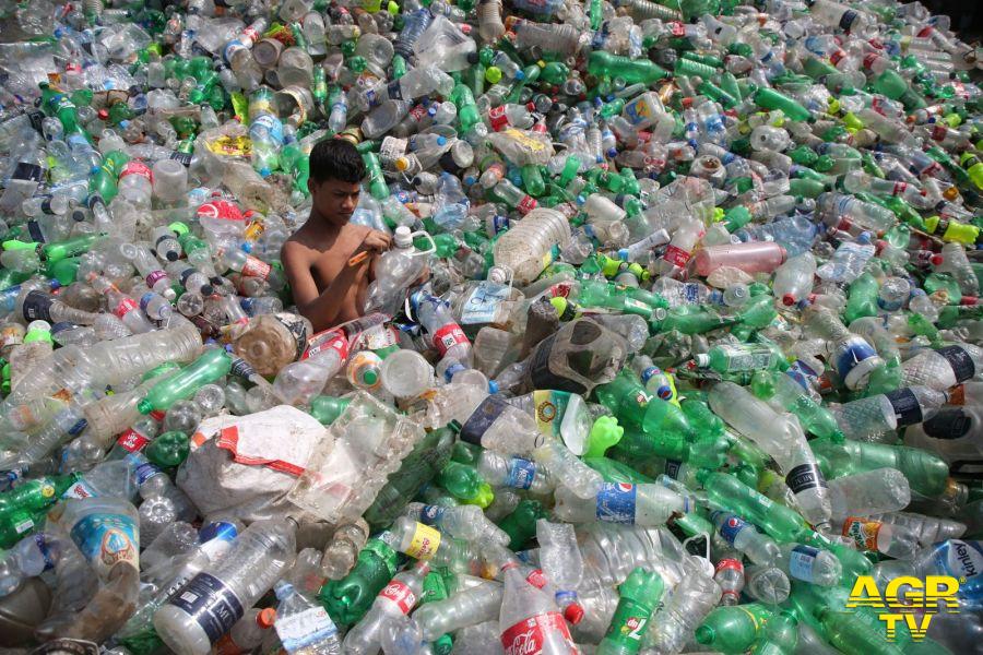 WWF, 100 milioni di tonnellate di plastica disperse in natura
