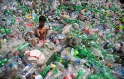 WWF, 100 milioni di tonnellate di plastica disperse in natura