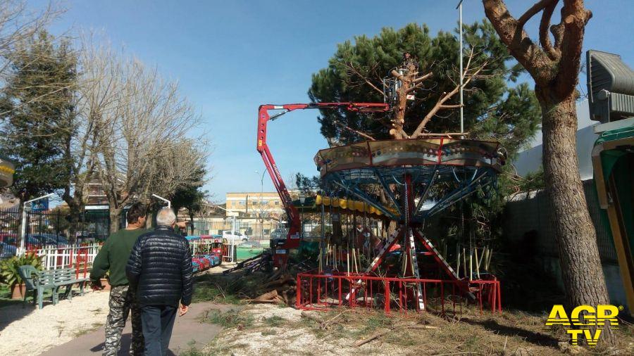Fiumicino, potati i pini al parco Cetorelli