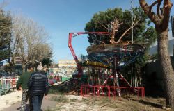 Fiumicino, potati i pini al parco Cetorelli