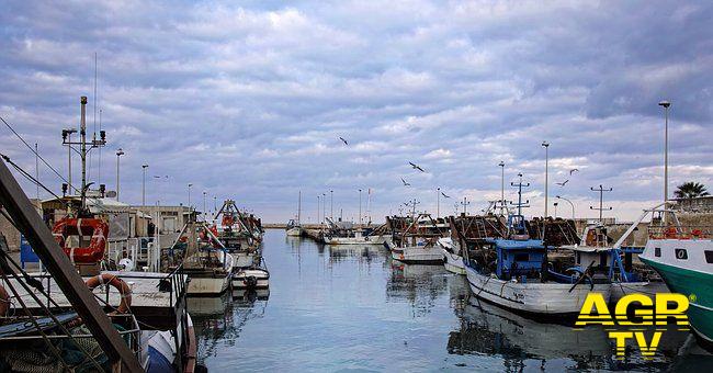 Regione Lazio, fino a 75 mila euro ai giovani pescatori per acquisto imbarcazione