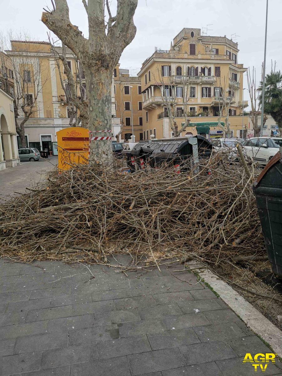 Ostia, potature e cassonetti incendiati abbandonati in strada Ostia, potature e cassonetti incendiati abbandonati in strada