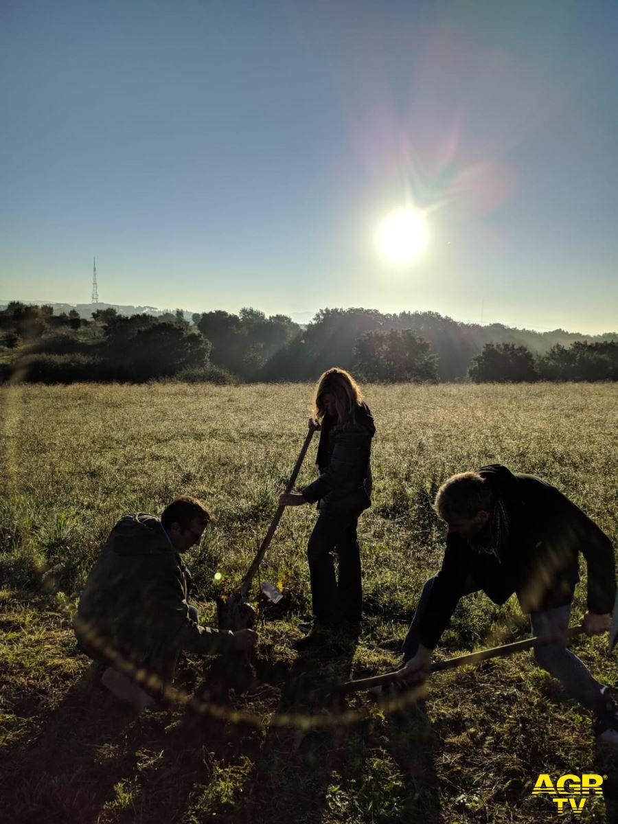 Roma, Monte Antenne avviato cantiere per la riforestazione