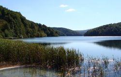 Bracciano, per la Giornata dell'acqua remake al lago