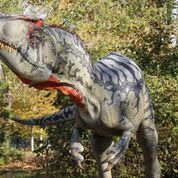 Fiumicino, dinosauri in carne ed ossa a Macchiagrande Fiumicino, dinosauri in carne ed ossa a Macchiagrande