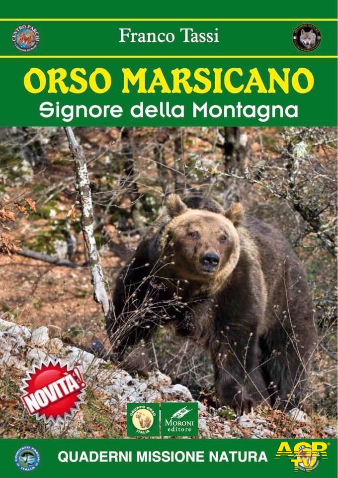 WWF, insieme per salvare l'orso bruno in Appennino