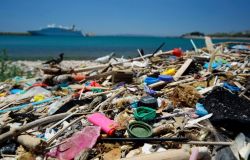 Stop alla plastica, fondamentale la scelta del singolo