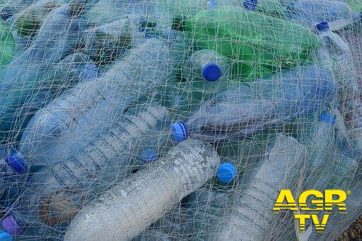 Fiumicino, pescherecci impegnati nella raccolta di plastica in mare Fiumicino, pescherecci impegnati nella raccolta di plastica in mare