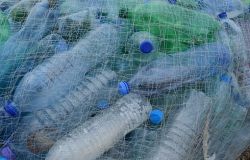 Fiumicino, pescherecci impegnati nella raccolta di plastica in mare