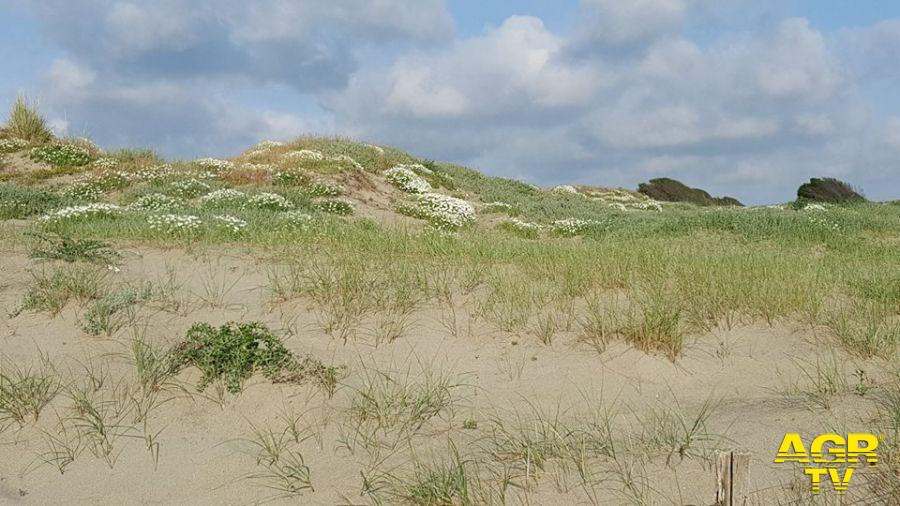 Passoscuro, scomparsi i cartelli didattici delle dune