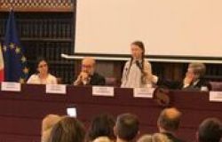 Greta... al Senato: ognuno può agire per limitare l'inquinamento