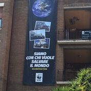 Greta... al Senato: ognuno può agire per limitare l'inquinamento Greta... al Senato: ognuno può agire per limitare l'inquinamento
