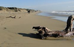 Caccia alla Biodiversità il 29 aprile ad Ostia