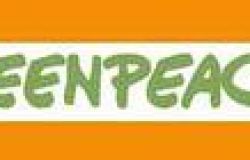 Greenpeace: Rinnovabili 'trovata l'intesa, svelato l'inganno'