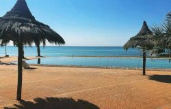 Fregene: bandi, gare, quale futuro per le imprese balneari? confronto pubblico sulla legge 131/24