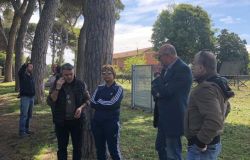 Fiumicino, messa in sicurezza alberature Isola Sacra