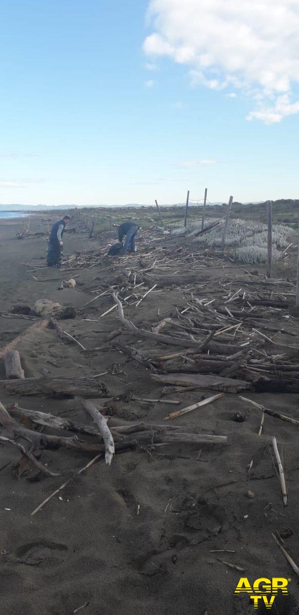 Fiumicino, effettuata una pulizia straordinaria della spiaggia di Coccia di morto