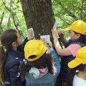 Domenica 19 maggio, Festa delle Oasi WWF Domenica 19 maggio, Festa delle Oasi WWF