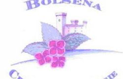 Bolsena: Si rinnova l'annuale appuntamento con la 'Festa delle Ortensie'