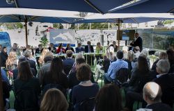 Fiumicino, confronto pubblico sul vincolo idrogeologico