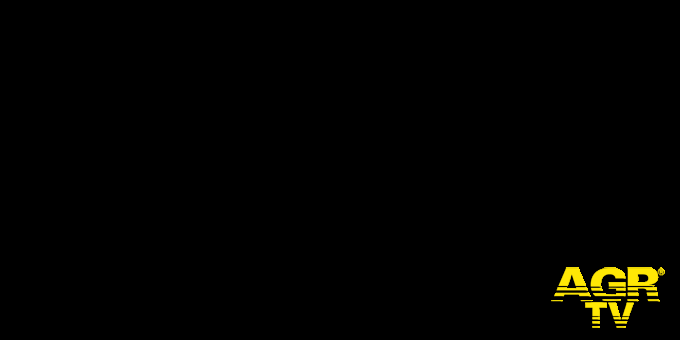 Casalpalocco, domani premiazione concorso letterario Il Telescopio Casalpalocco, domani premiazione concorso letterario Il Telescopio