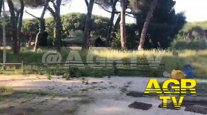 Ostia nord, appuntamento con il Cdq ed i volontari per la pulizia del Parco Clemente Riva Ostia nord, appuntamento con il Cdq ed i volontari per la pulizia del Parco Clemente Riva