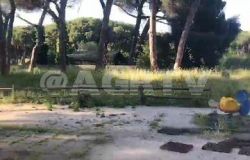 Ostia nord, appuntamento con il Cdq ed i volontari per la pulizia del Parco Clemente Riva