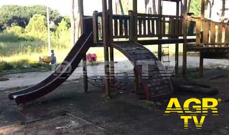 Ostia nord, appuntamento con il Cdq ed i volontari per la pulizia del Parco Clemente Riva Ostia nord, appuntamento con il Cdq ed i volontari per la pulizia del Parco Clemente Riva