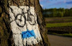 Da Ostia a Parigi in bicicletta per promuovere le donazioni di sangue