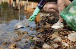 Giornata mondiale dell'ambiente, preservare la natura sempre più a rischio