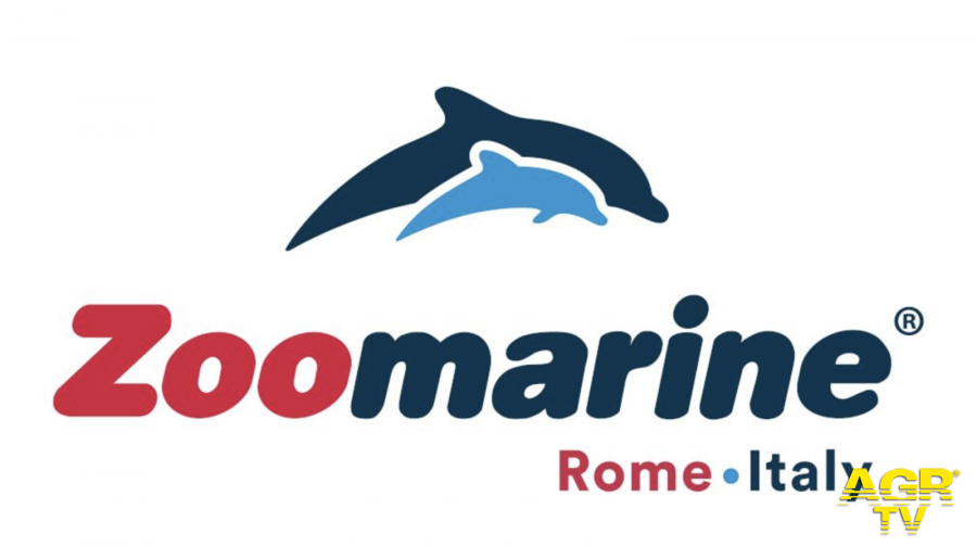 Torvajanica, pulizia della spiaggia per la giornata degli Oceani
