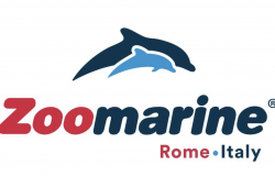 Torvajanica, pulizia della spiaggia per la giornata degli Oceani