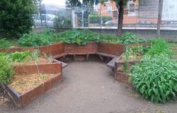 Fiumicino, inaugurato l'Orto attivo alla scuola Coni Zugna