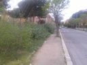 Acilia, il parco della Madonnetta deve tornare ai cittadini.... Acilia, il parco della Madonnetta deve tornare ai cittadini....