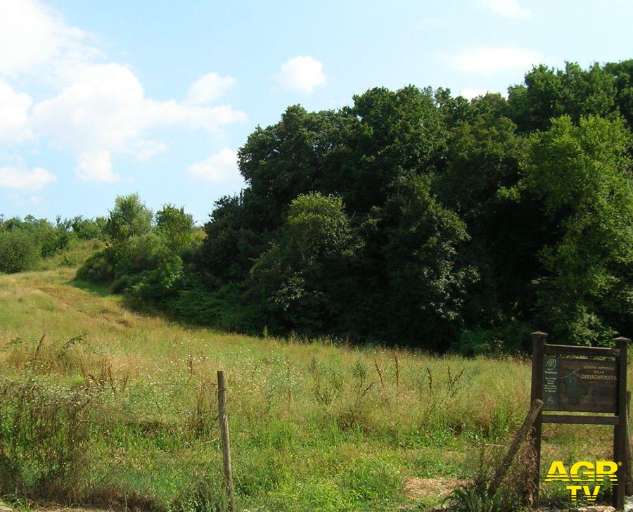 Acilia, il parco della Madonnetta deve tornare ai cittadini.... Acilia, il parco della Madonnetta deve tornare ai cittadini....