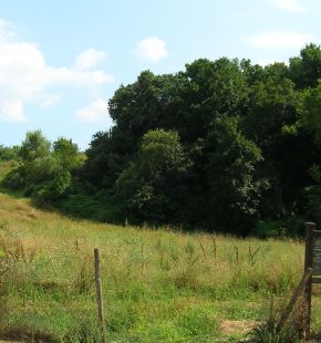 Acilia, via libera dalla Giunta del Campidoglio alla manutenzione straordinaria del parco della Madonnetta Acilia, via libera dalla Giunta del Campidoglio alla manutenzione straordinaria del parco della Madonnetta