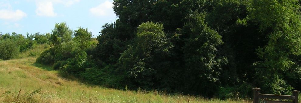 Acilia, via libera dalla Giunta del Campidoglio alla manutenzione straordinaria del parco della Madonnetta