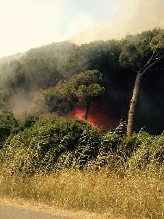 Acilia, roghi nella notte tra le sterpaglie