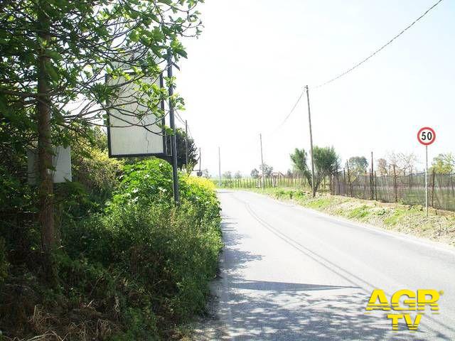 Ostia, via dei Pescatori strada a rischio per la vegetazione