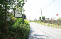 Ostia, via dei Pescatori strada a rischio per la vegetazione