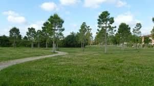 Passoscuro, Commissione ambiente itinerante per verifica aree verdi Passoscuro, Commissione ambiente itinerante per verifica aree verdi