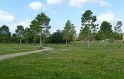 Passoscuro, Commissione ambiente itinerante per verifica aree verdi