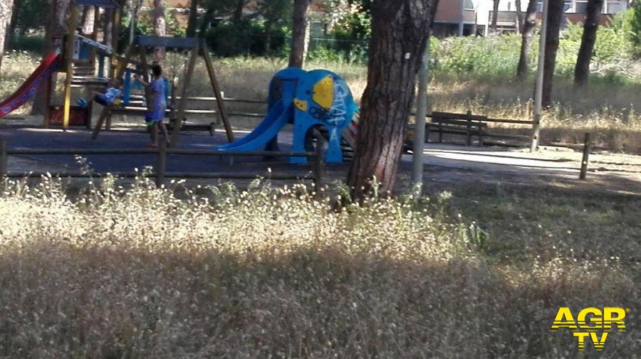 Ostia, rischio incendi alle Acque rosse