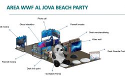 WWF, parte il summer quiz