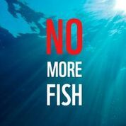 9 luglio il Fish dependence day, solo pesce d'importazione in Europa