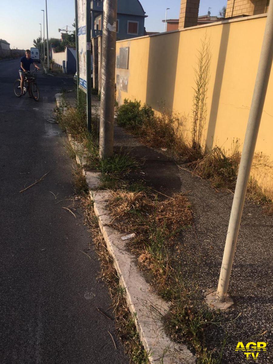 Fiumicino, via della Pesca assediata dalle erbacce Fiumicino, via della Pesca assediata dalle erbacce